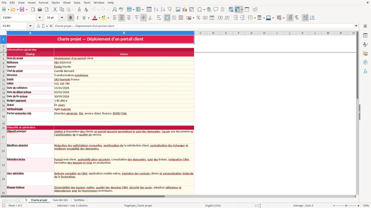 Capture 1 : feuille Charte projet - Modèle Excel charte projet exemple excel